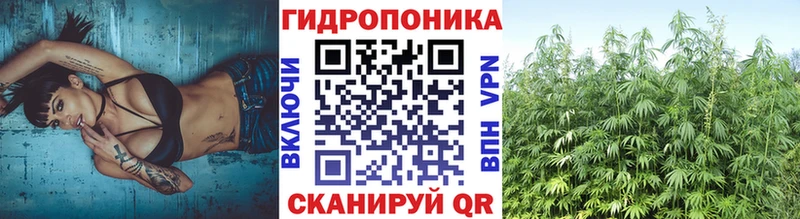 дарнет шоп  Пласт  сайты даркнета какой сайт  Канабис марихуана  omg ссылка 